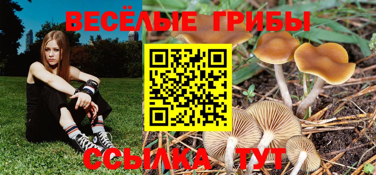 Орёл  Псилоцибиновые грибы ЛСД  Вход с VPN 