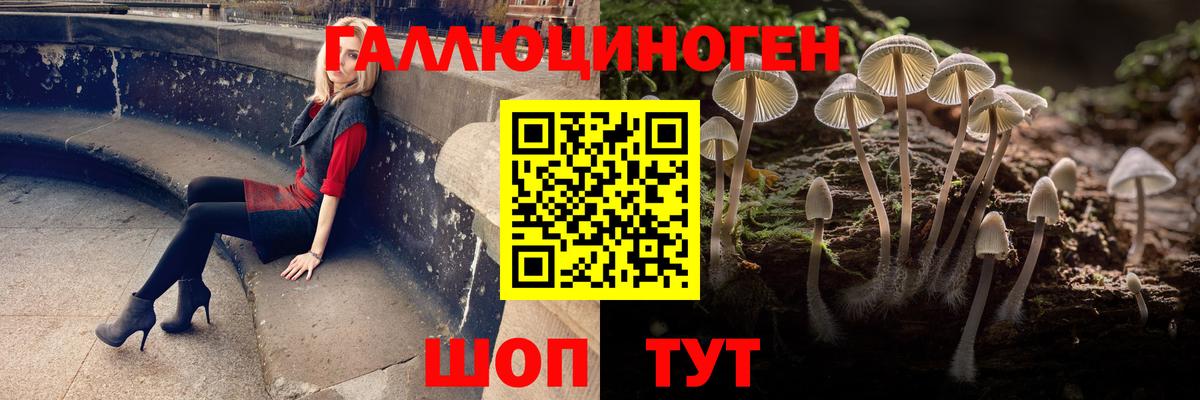 Галлюциногенные грибы Psilocybine cubensis Орёл